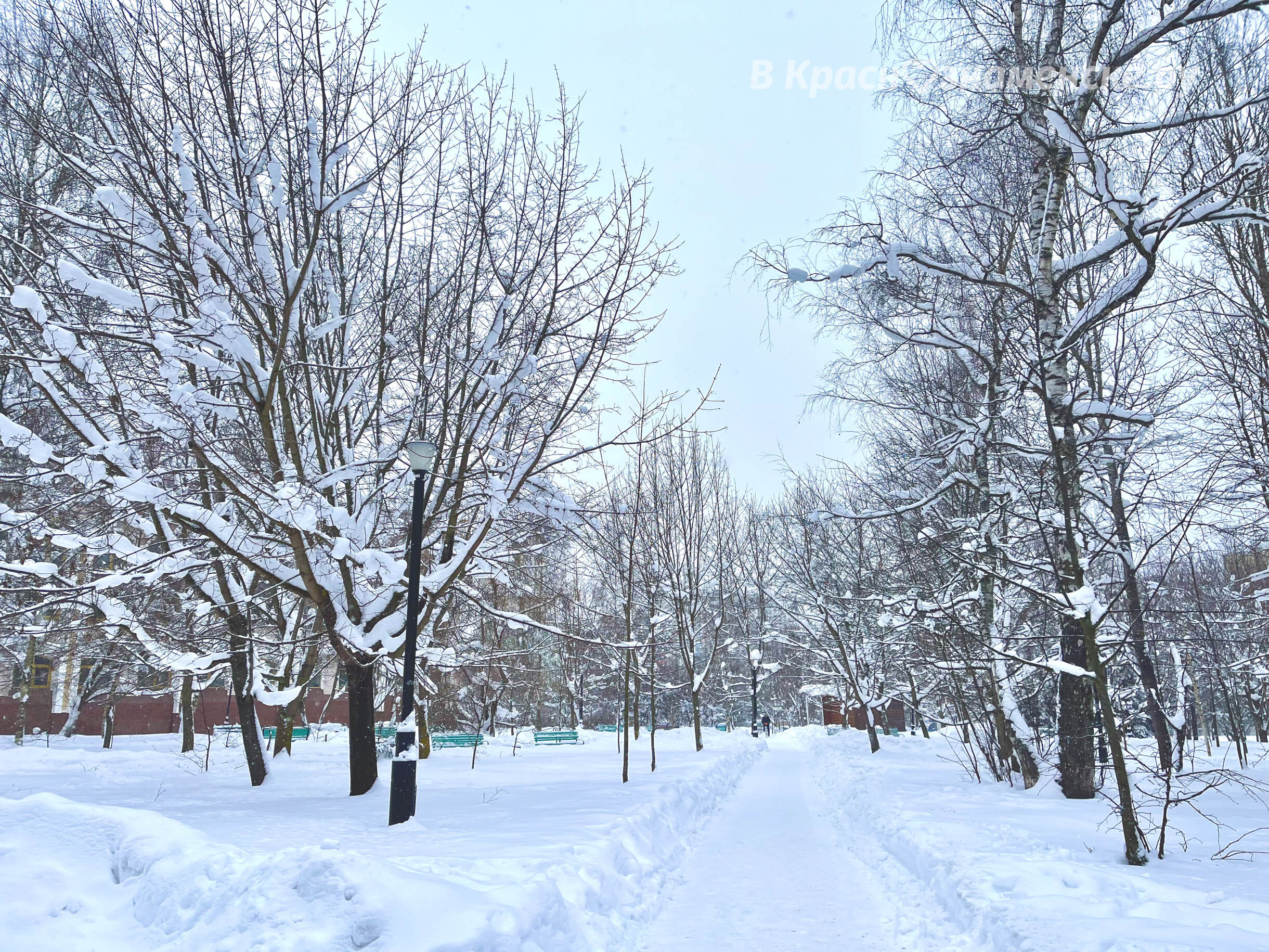Зимняя прогулка по городу 