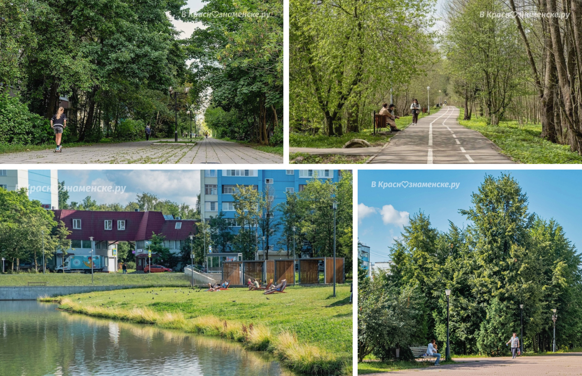 Сегодня День Земли 