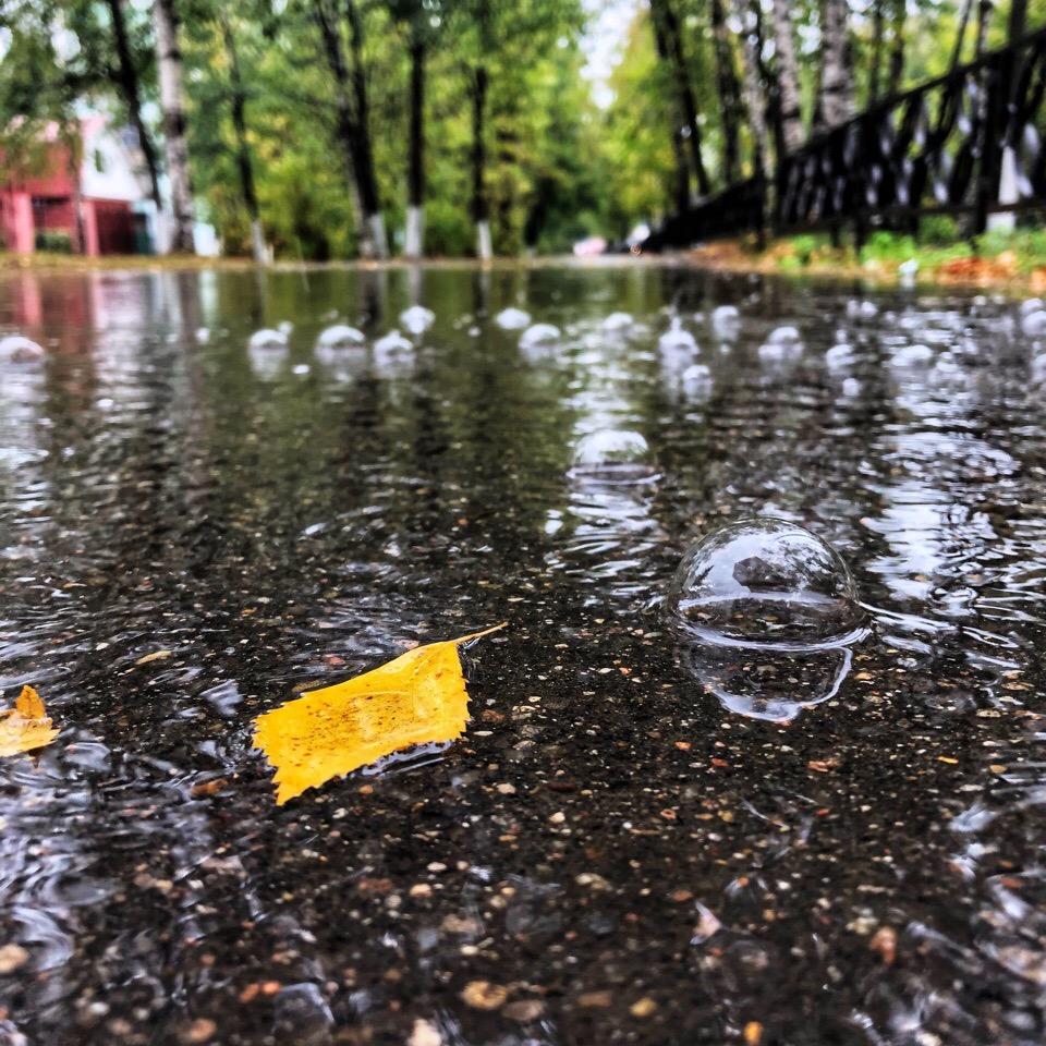 Пасмурный Краснознаменск