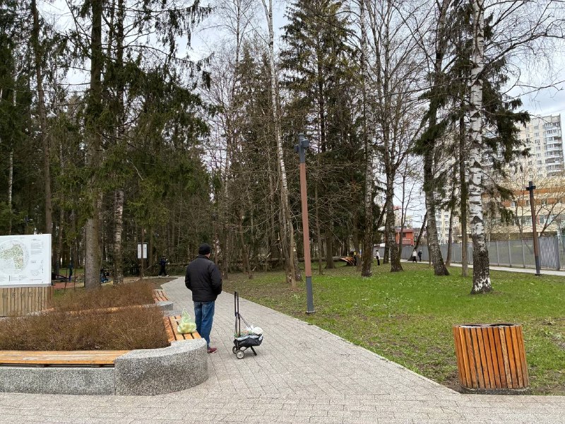 Будьте осторожны, сильный ветер! В Беличьем парке только что упало дерево.