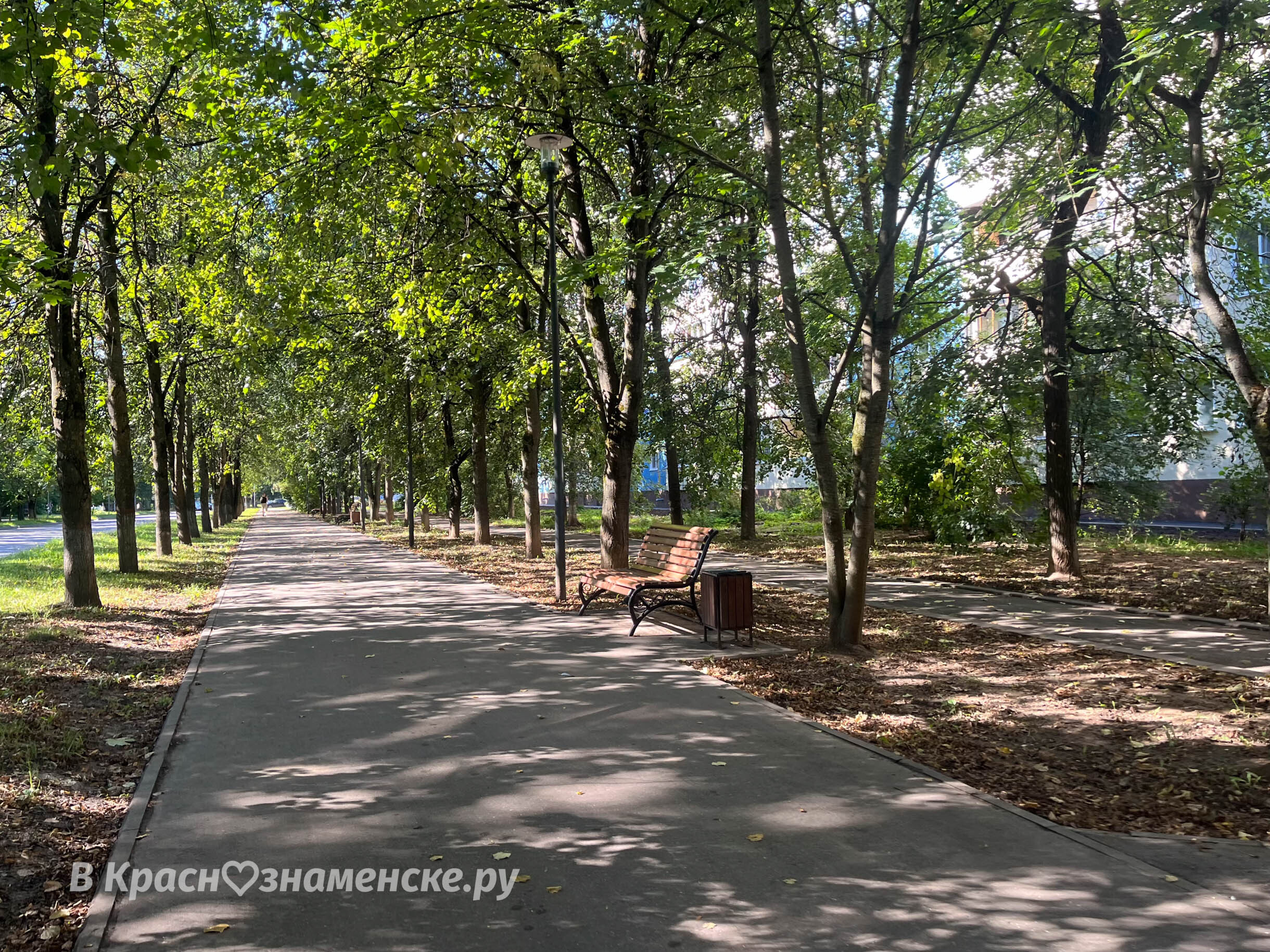 Прогулка по городу