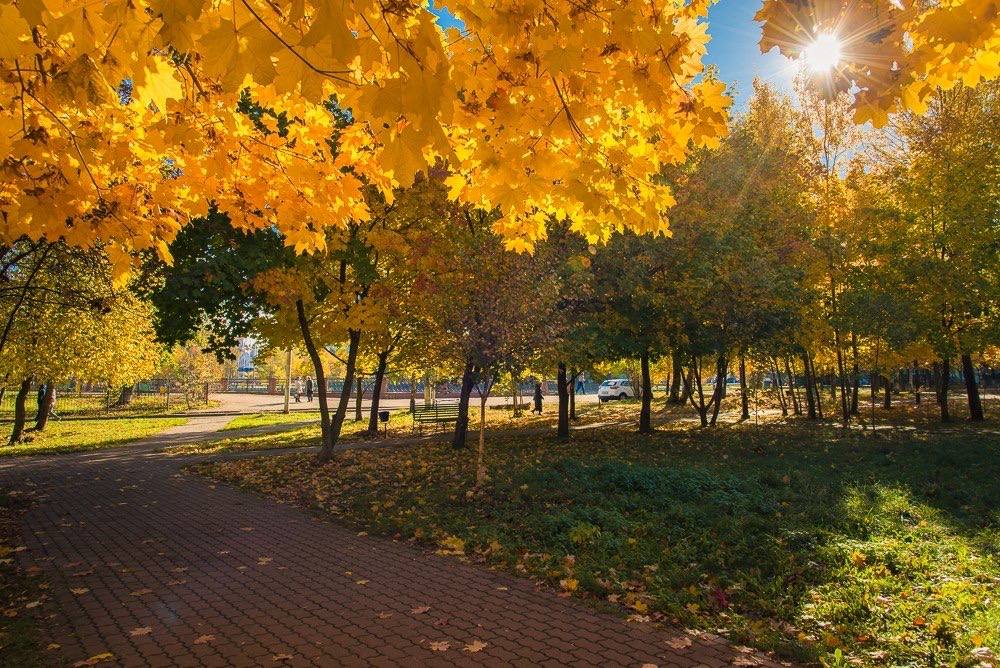 Осенние краски города — Краснознаменск