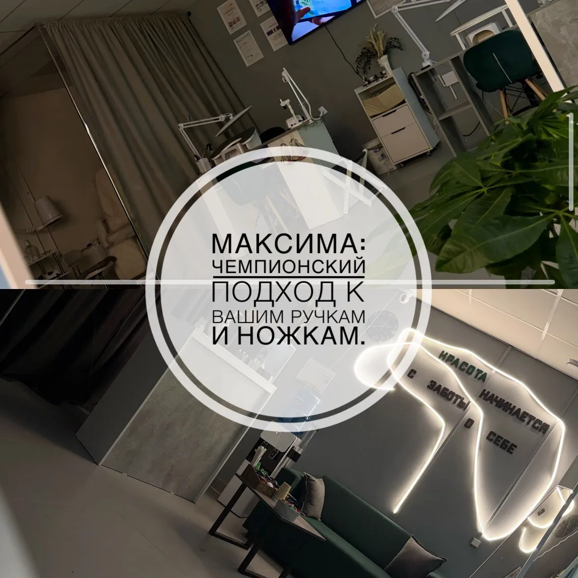 Камерная студия подологии и маникюра «мАксима» приглашает