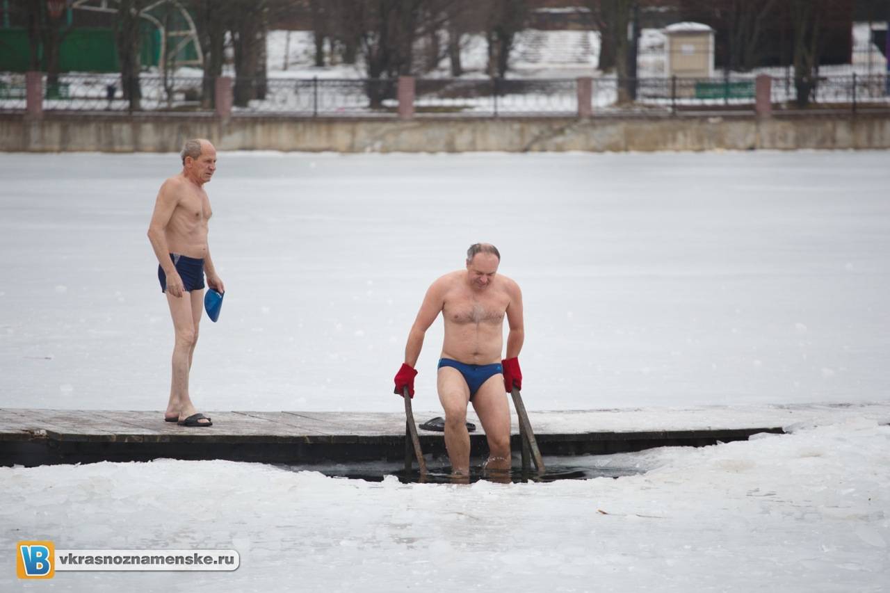 Моржи в Краснознаменске Моржи в Краснознаменске