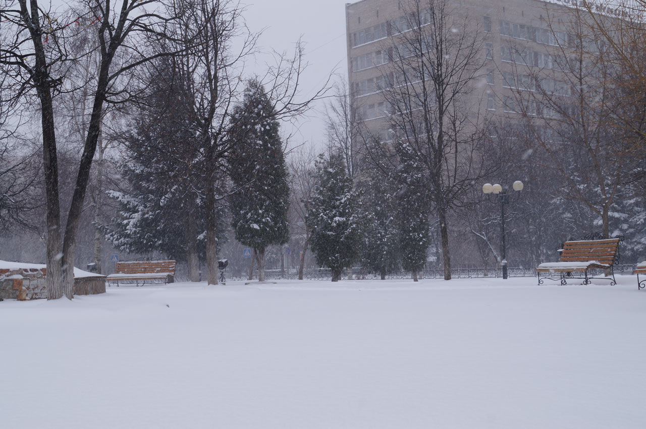 Снегопад в Краснознаменске весной