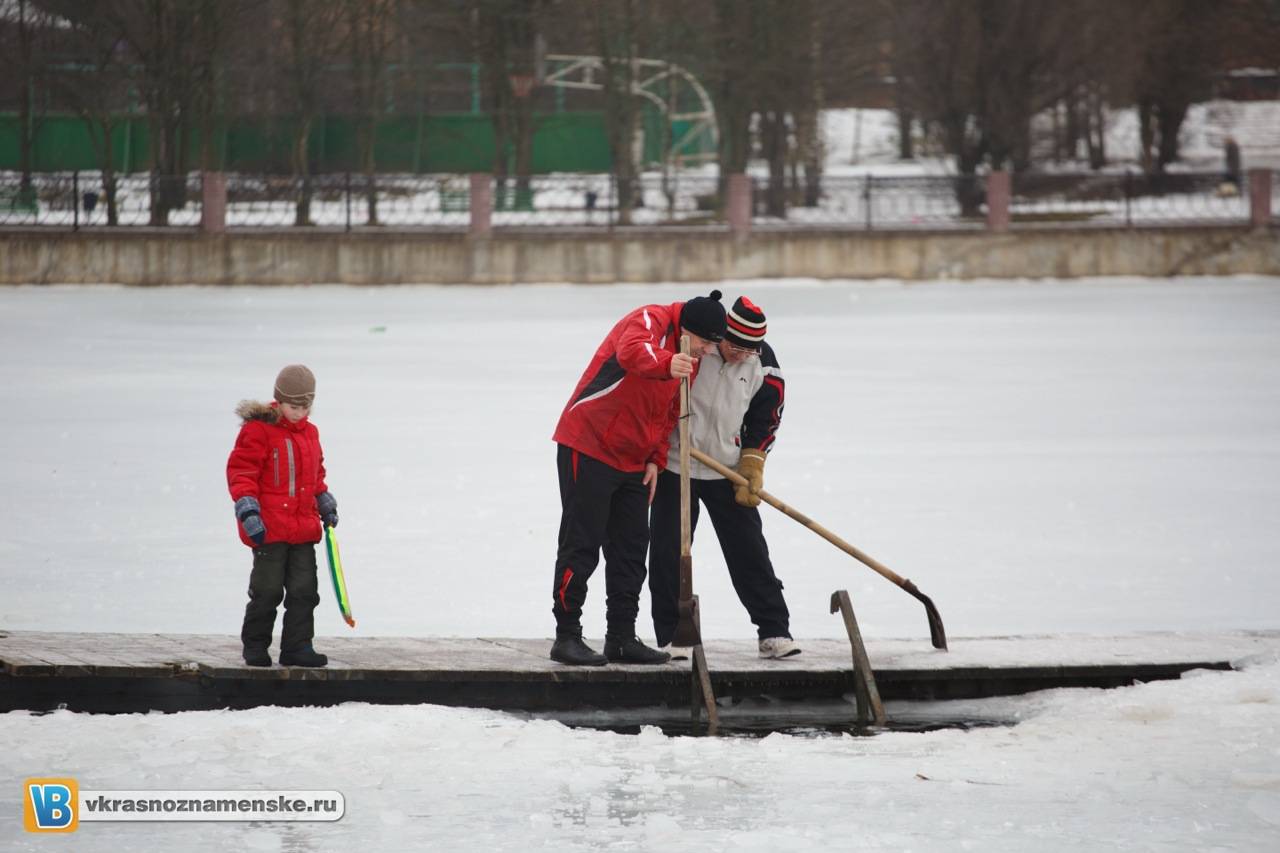 Моржи в Краснознаменске Моржи в Краснознаменске