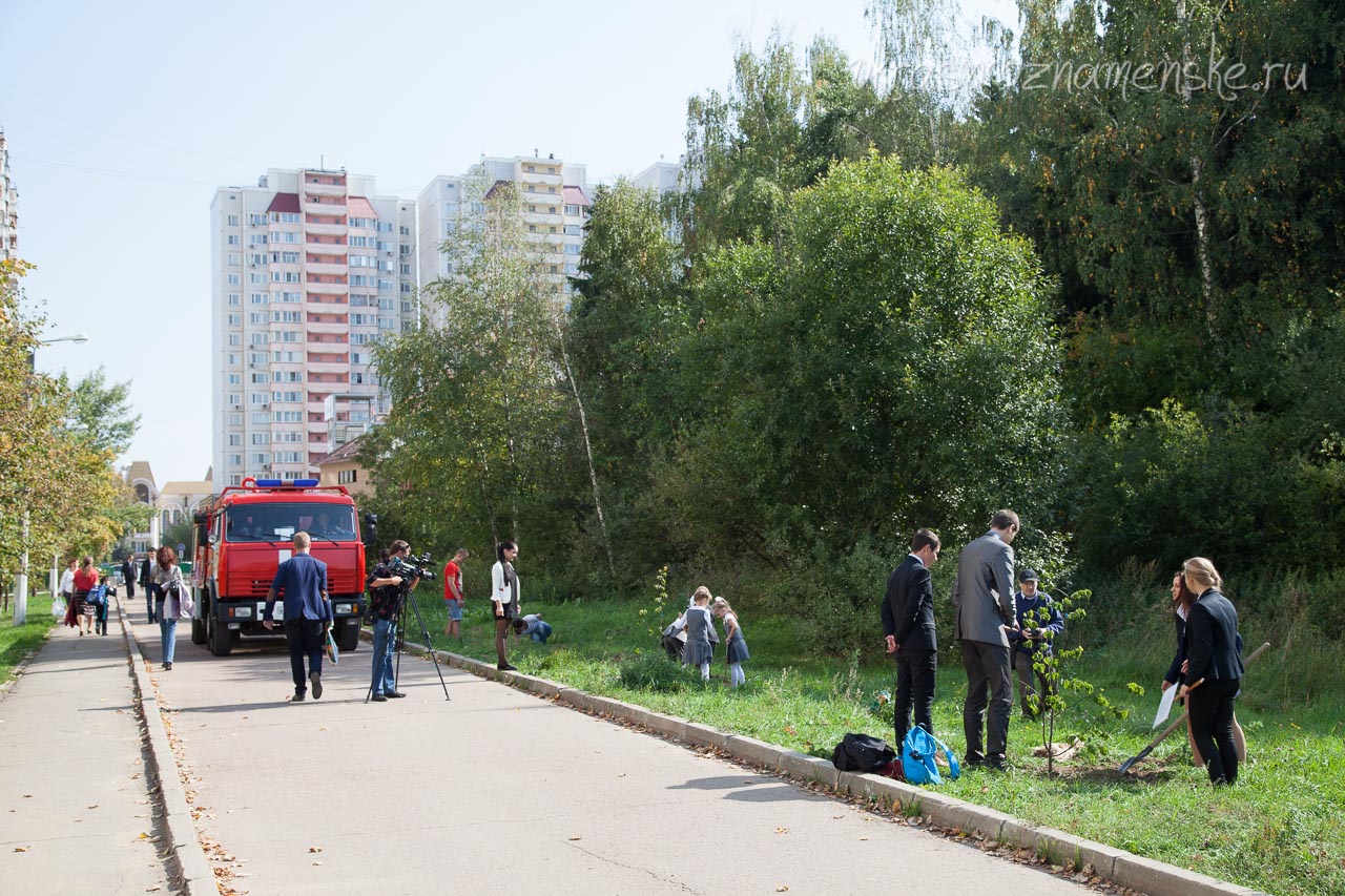 У 4й школы высаживают саженцы