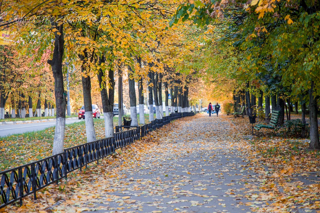 Осень в Краснознаменске Осень в Краснознаменске