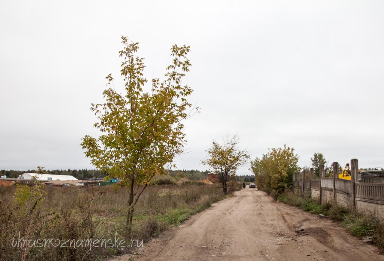 Конюшная около города Краснознаменск КСК 