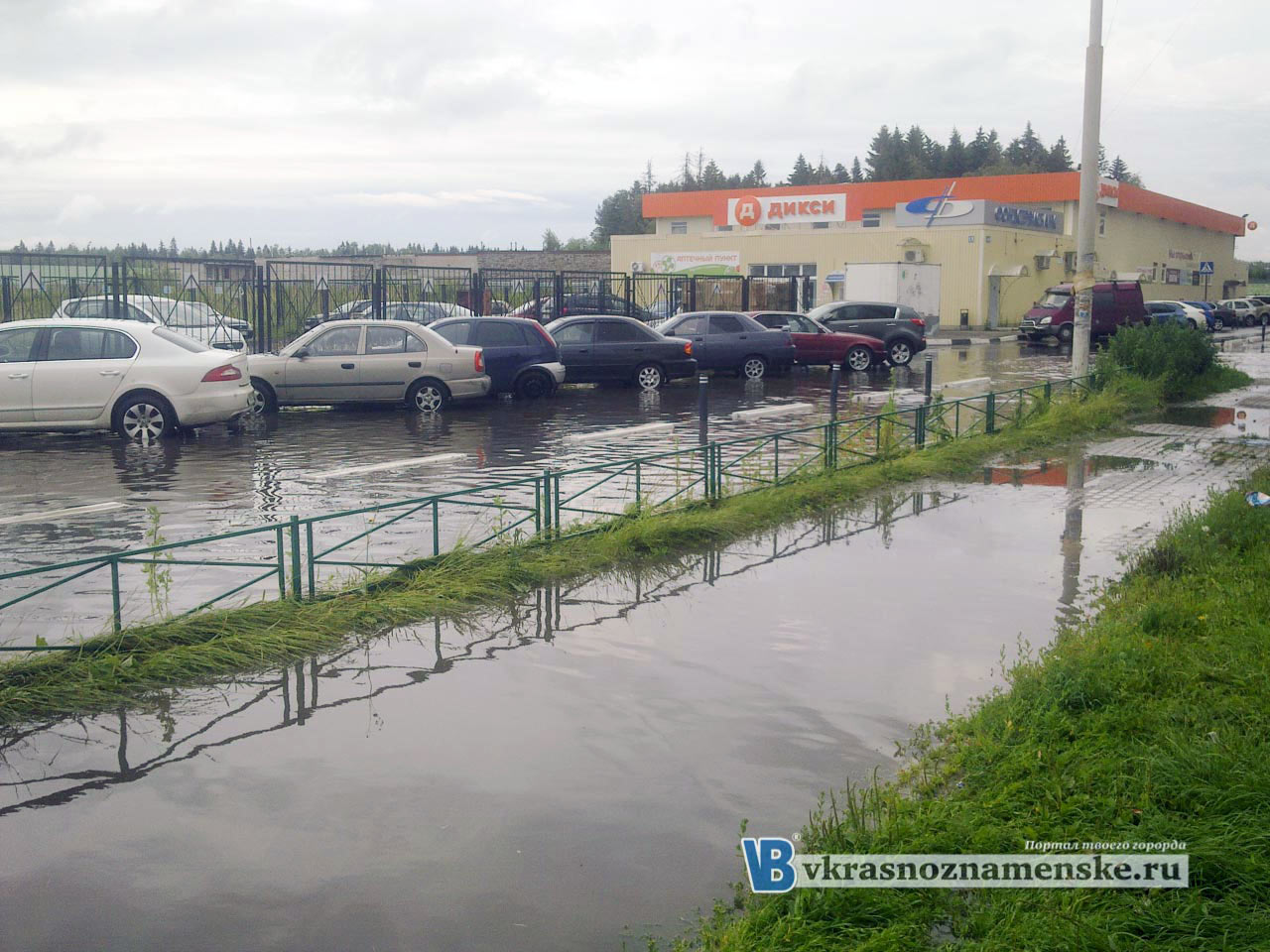 Дикси под водой в Краснознаменске