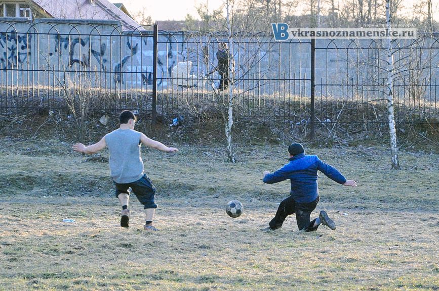 футбол в Краснознаменске футбол в Краснознаменске