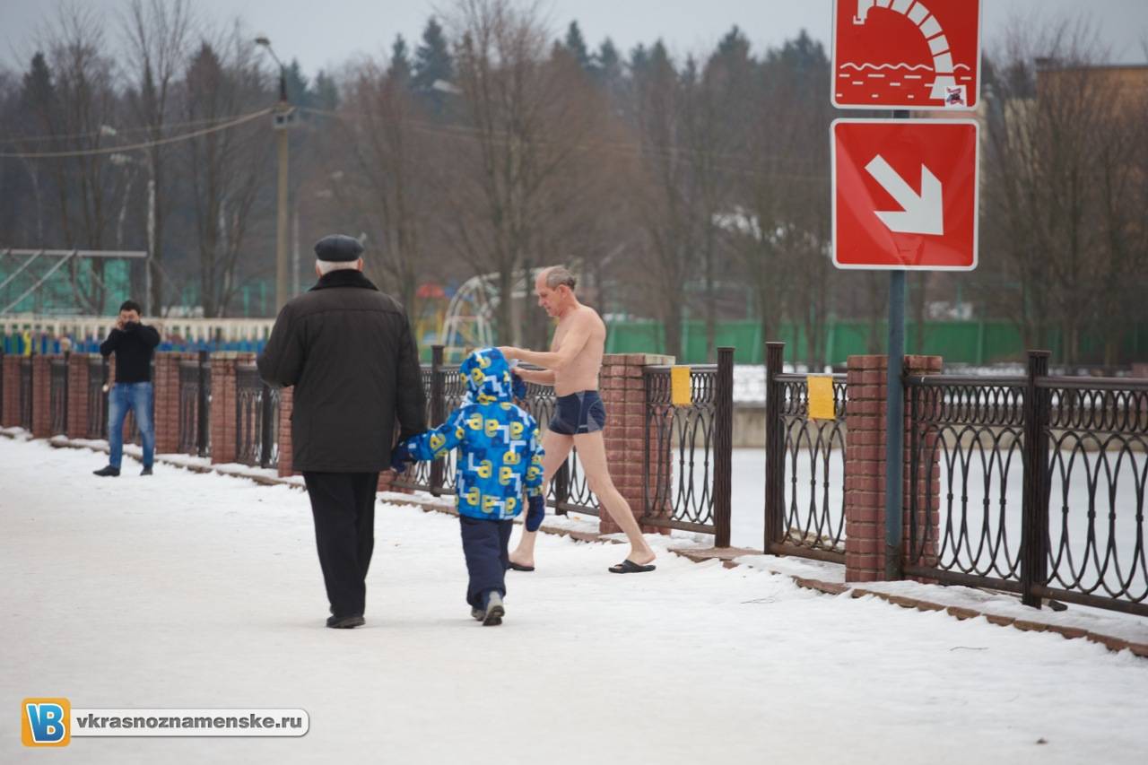 Моржи в Краснознаменске Моржи в Краснознаменске