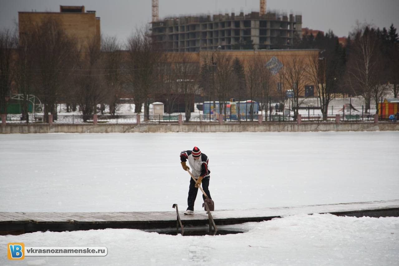 Моржи в Краснознаменске Моржи в Краснознаменске