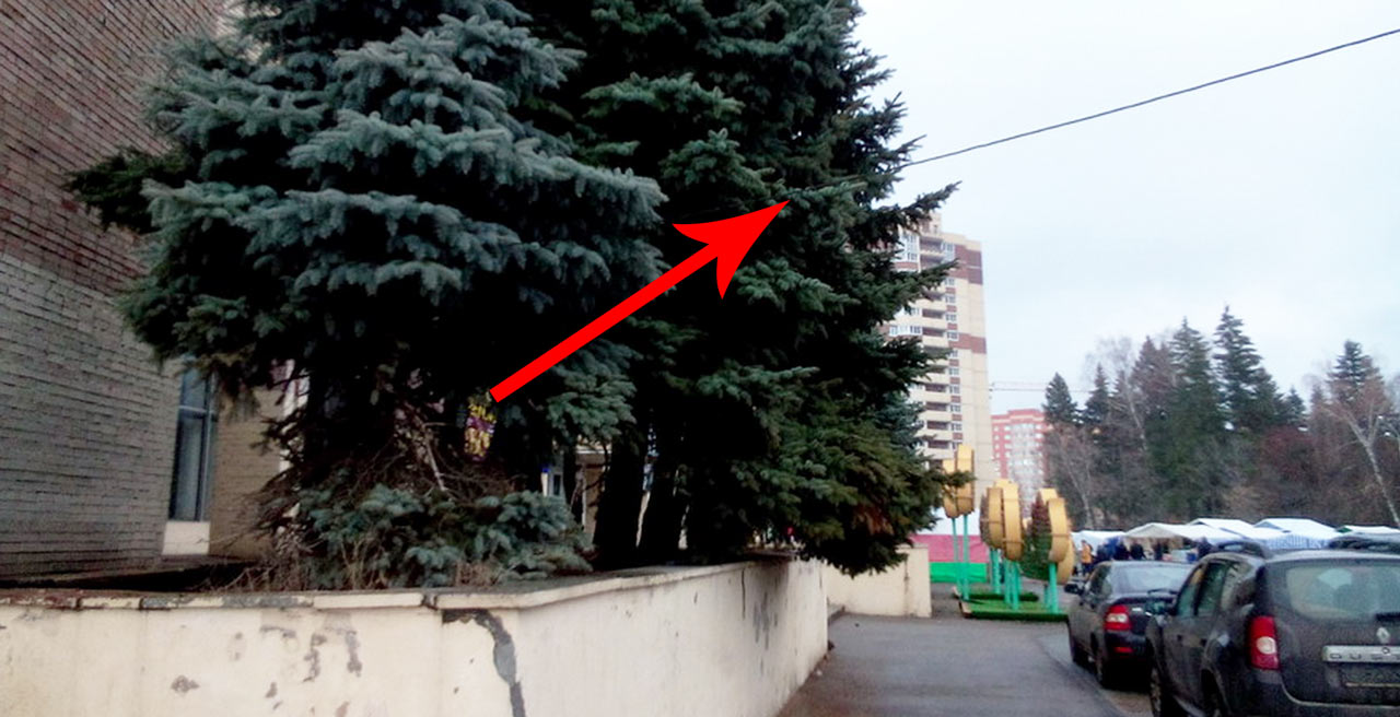 Ярмарка в Краснознаменске