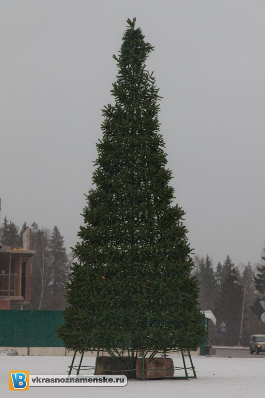2011_12_10_6740.jpg