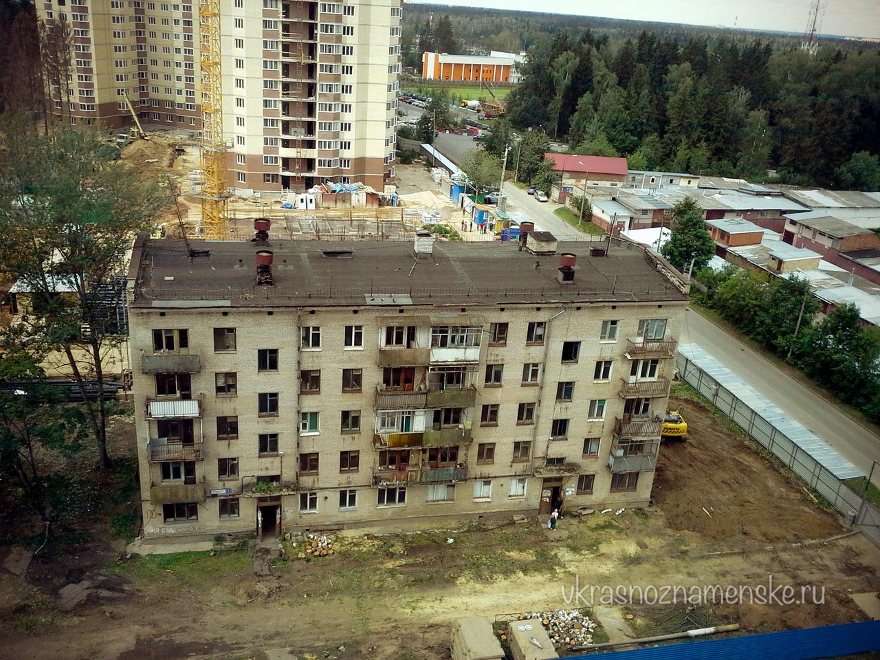 В Краснознаменске вырубают многолетние деревья