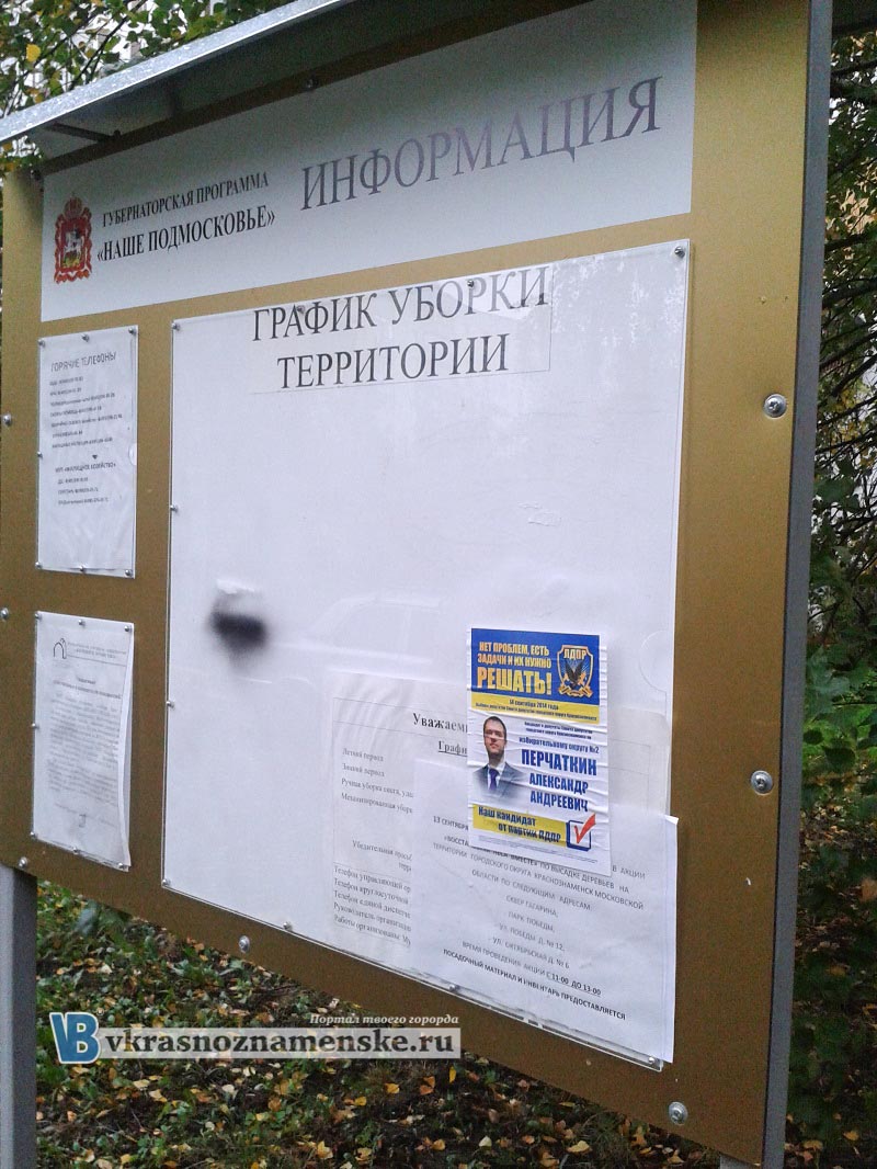 Листовки ЛДПР в Краснознаменске Листовки ЛДПР в Краснознаменске
