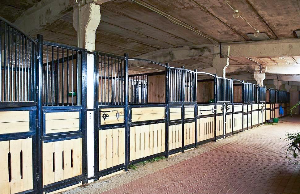 Конюшня около города Краснознаменск КСК 