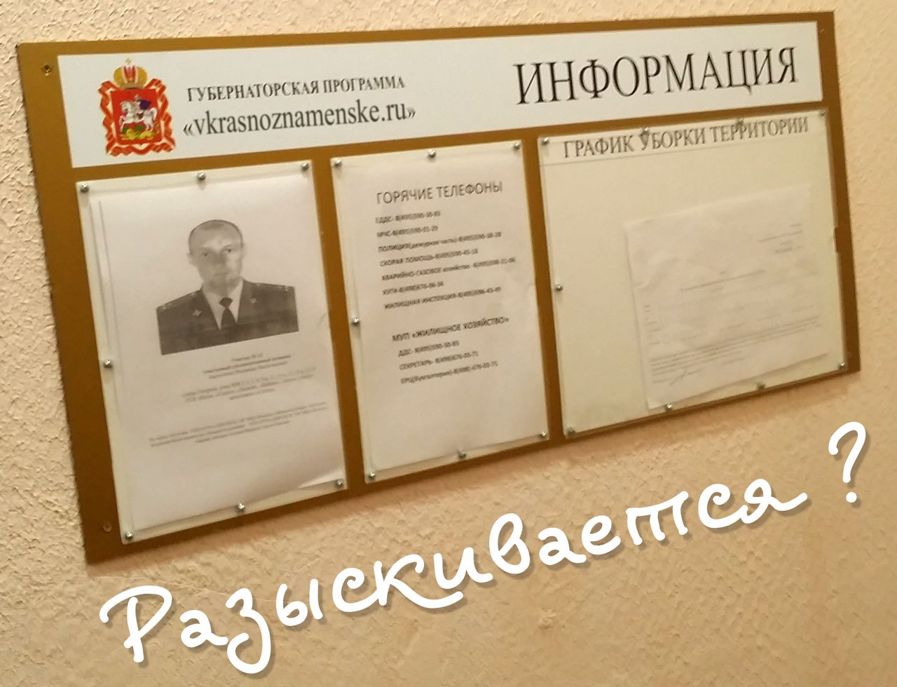 разыскивается в городе Краснознаменск Московской области