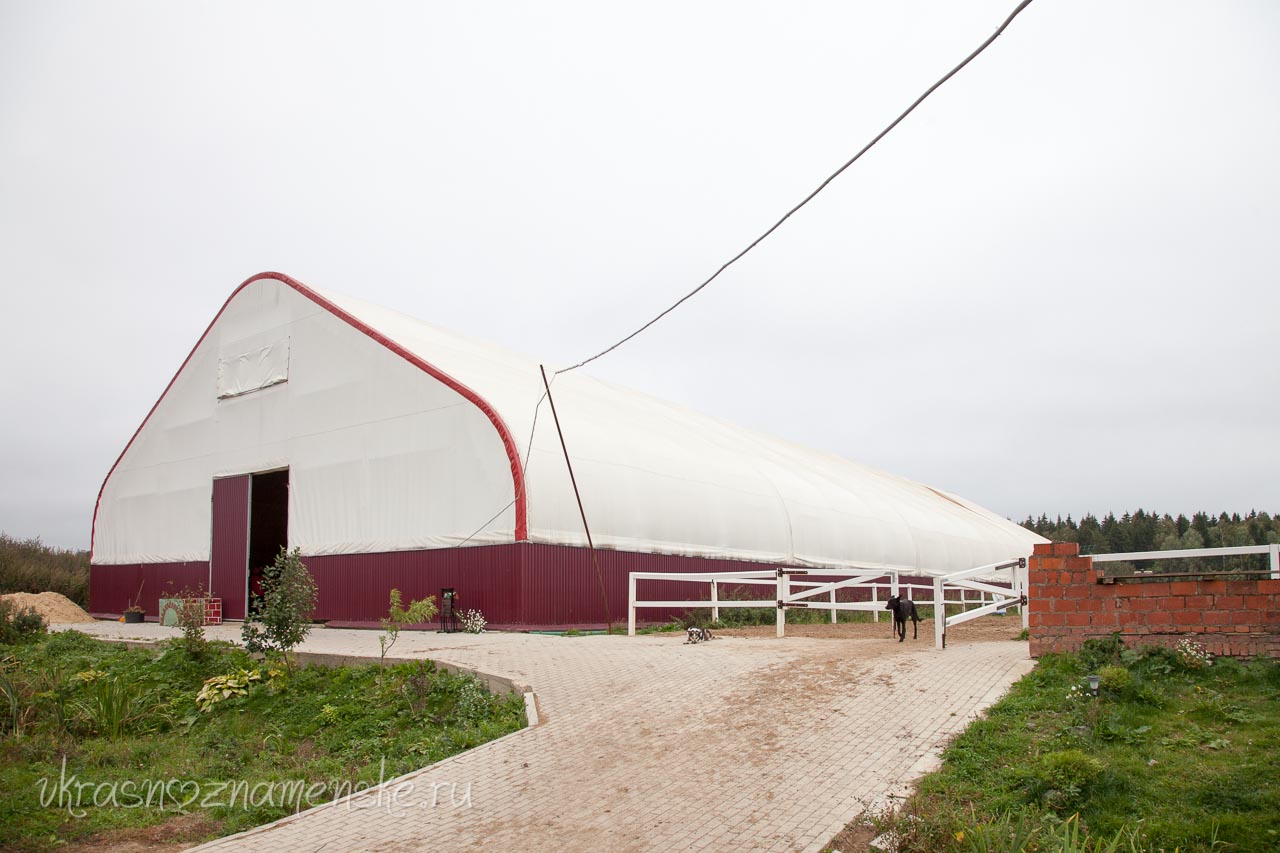 Конюшня около города Краснознаменск КСК 