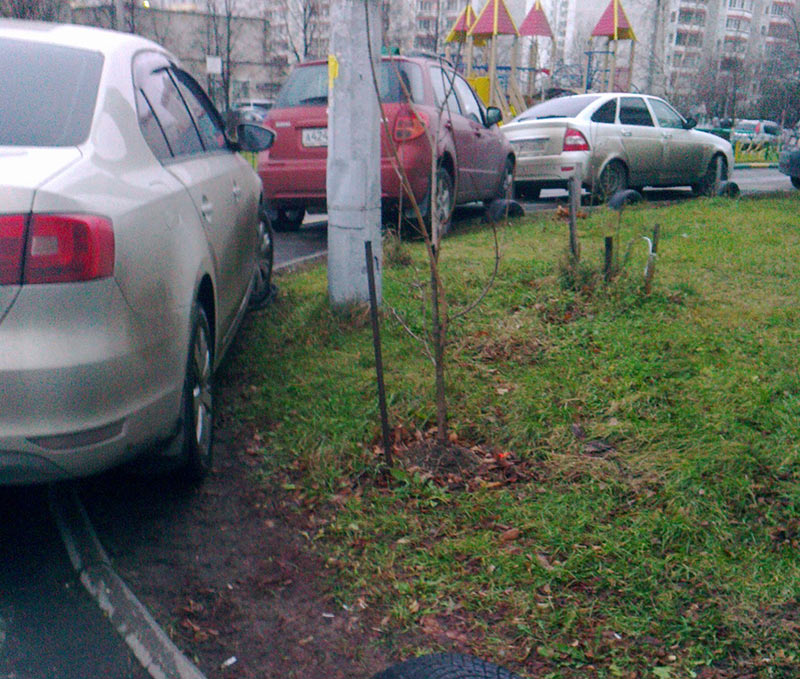 Автохамы