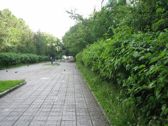 14.jpg