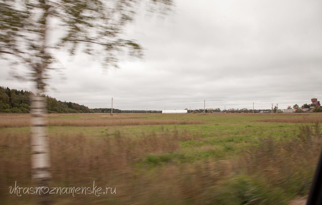 Конюшная около города Краснознаменск КСК 