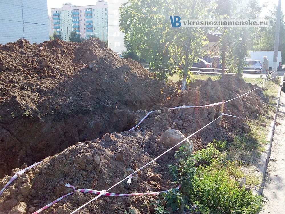 При прокладки комуникаций повреждены деревья в городе Краснознаменск