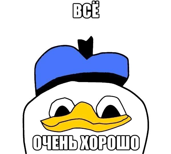 В Краснознаменске всё очень хорошо