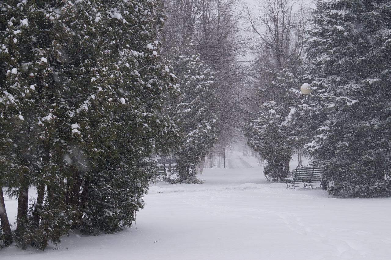 погода,снегопад,снег,аномальная погода
