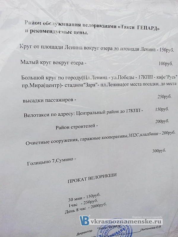 Цены на велорикшу в Краснознаменске