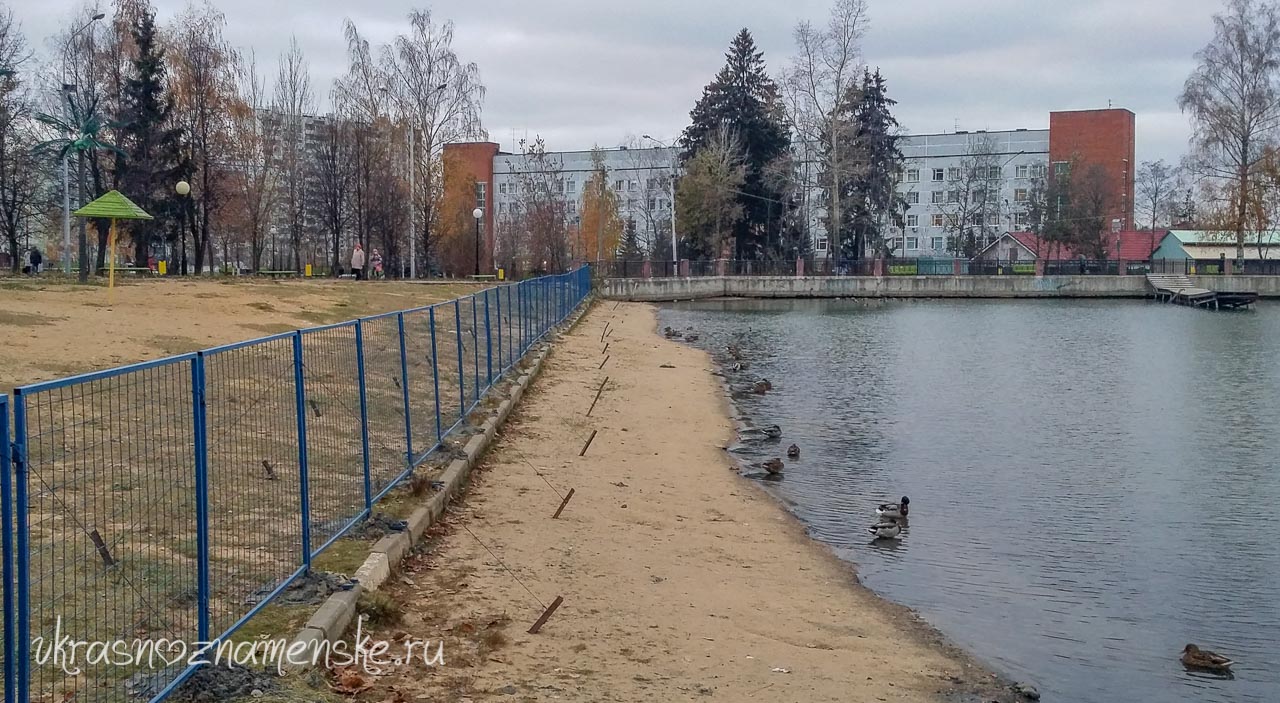 Утки на городском пруду Утки на городском пруду