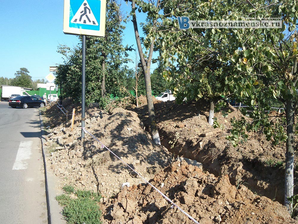 При прокладки комуникаций повреждены деревья в городе Краснознаменск
