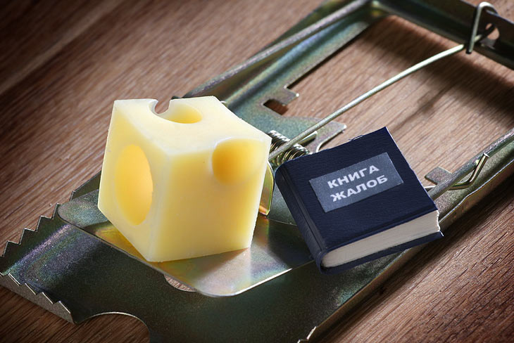 сыр в мышеловке сыр в мышеловке