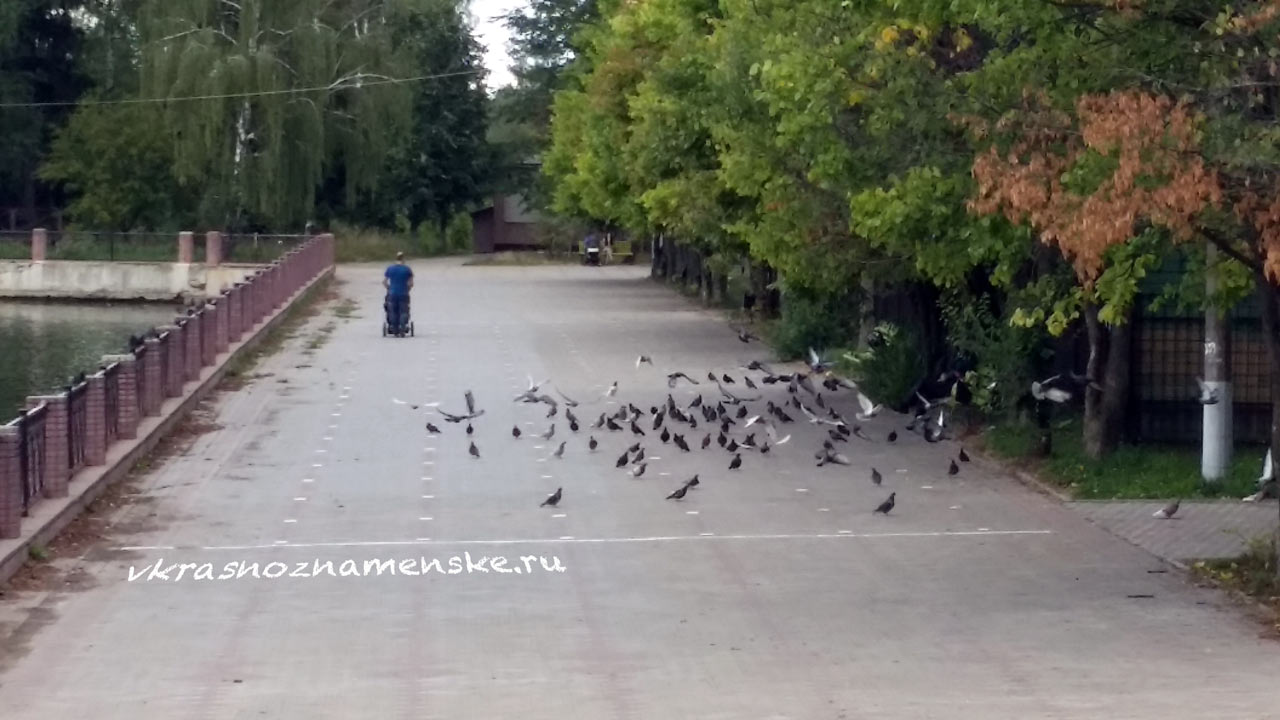 Придумайте название =) Придумайте название =)