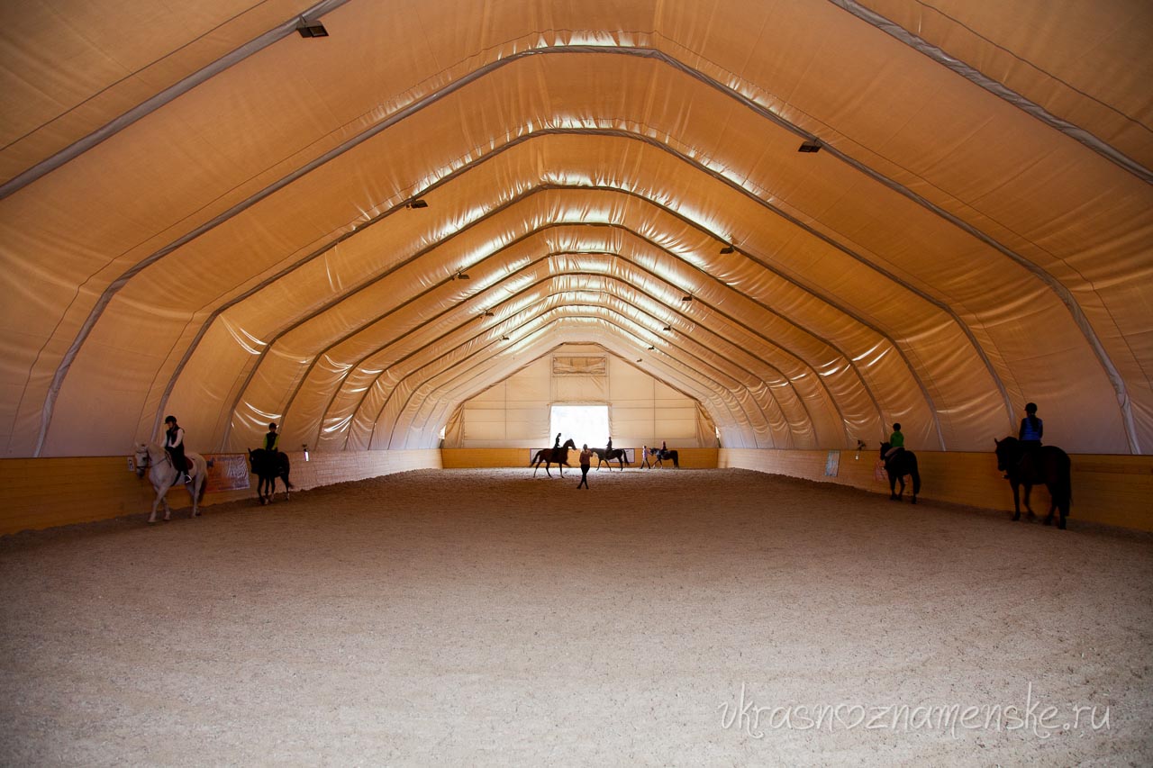 Конюшня около города Краснознаменск КСК 