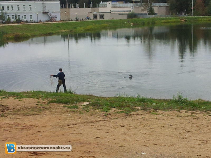 2012-09-18 15.05.10.jpg