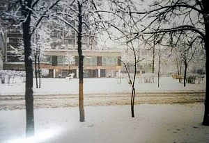 Центр,голубиная площадь,зима