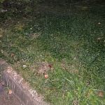 Почему вдоль дома по улице Гагарина 5 срезали металлические заборы?