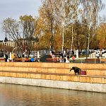 Городское озеро обходите стороной.
