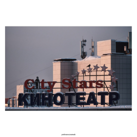 Чаплин и воронаДень | Зима 26Молодёжная 2