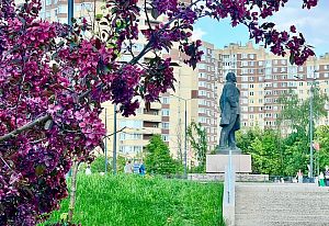 Цветущий Краснознаменск
