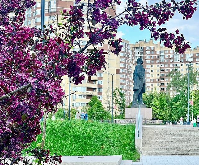 Цветущий Краснознаменск