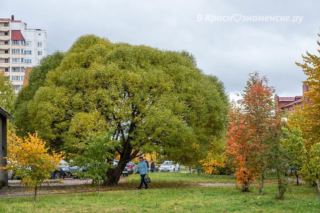 Осень в городе