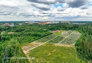 Нестандартный ракурс