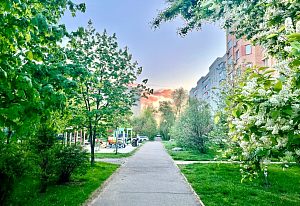 Цветущий Краснознаменск