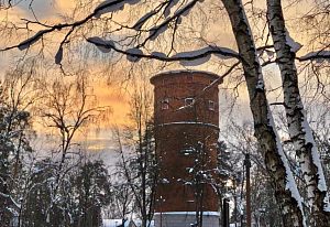 Под солнечным февральским небом