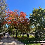 Прогулка по осенним улицам города — Краснознаменск