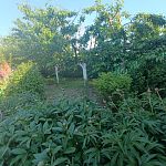 Продам, 226,8 кв.м, 10 соток, Отдельный дом — Краснознаменск