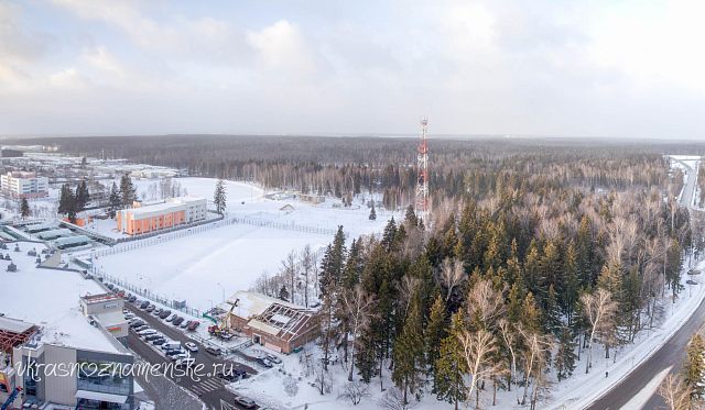 Парк, вид сверху,